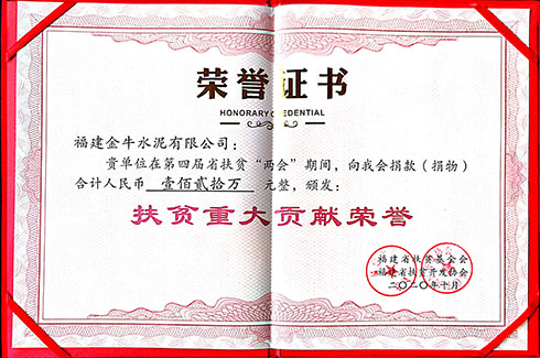 2020年扶贫重大贡献荣誉