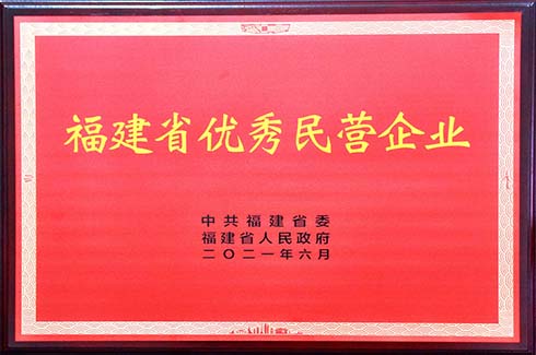 福建省优秀民营企业